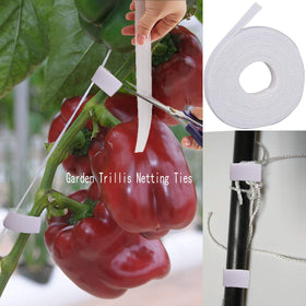 BaseGoal wildlife-friendly garden net protects crops while staying transparent for light.