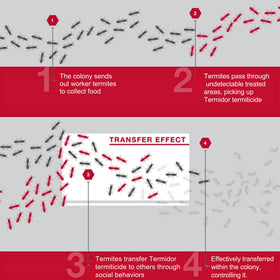 BASF Termidor Foam for spot treatments on wood and structural surfaces