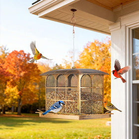 Basysnck feeder with four perches and 360-degree feeding access
