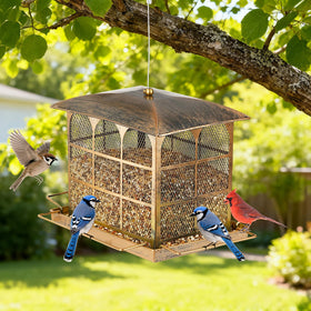 Basysnck attracts cardinals sparrows tits goldfinches and blue tits