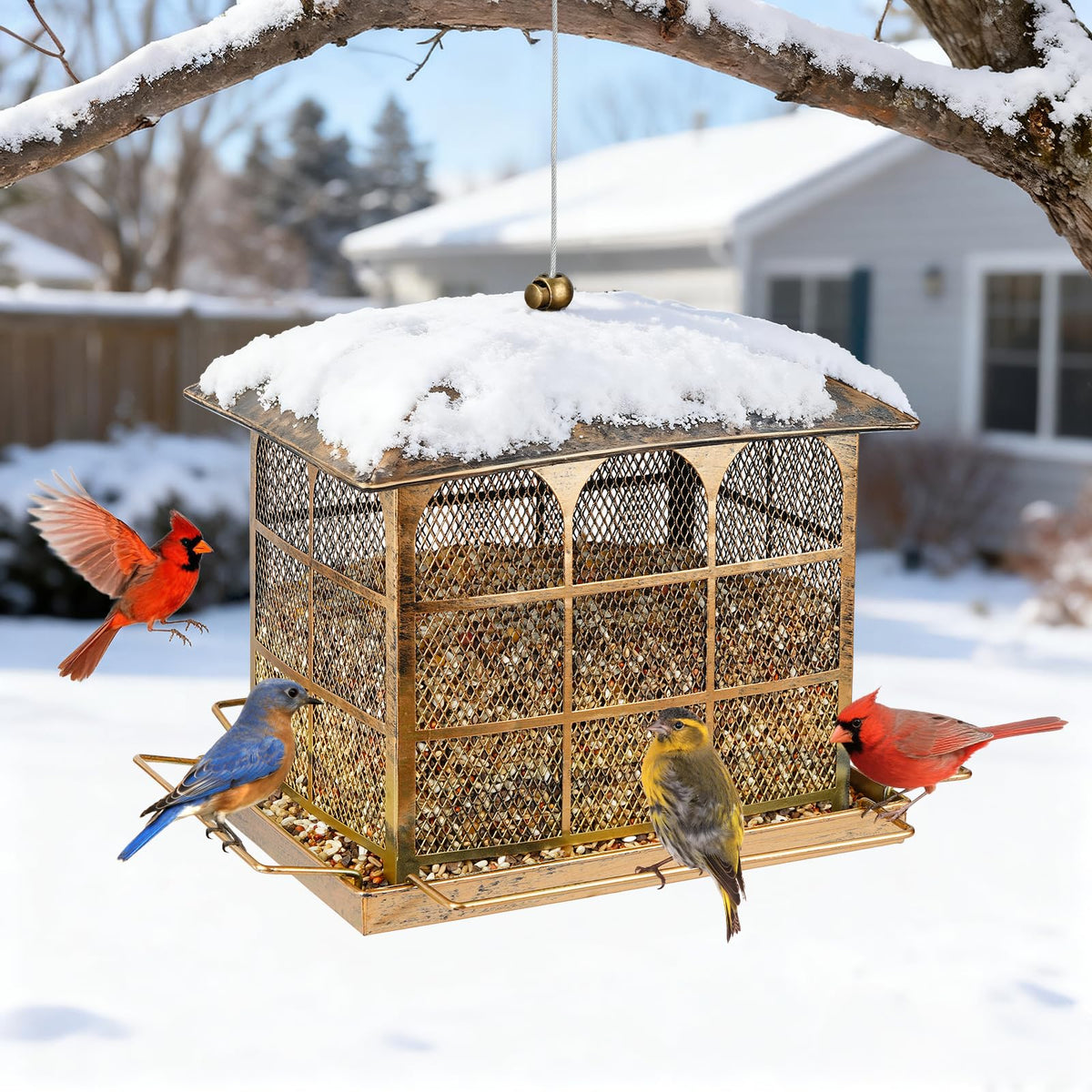 Basysnck feeder with wide fill opening for easy refills
