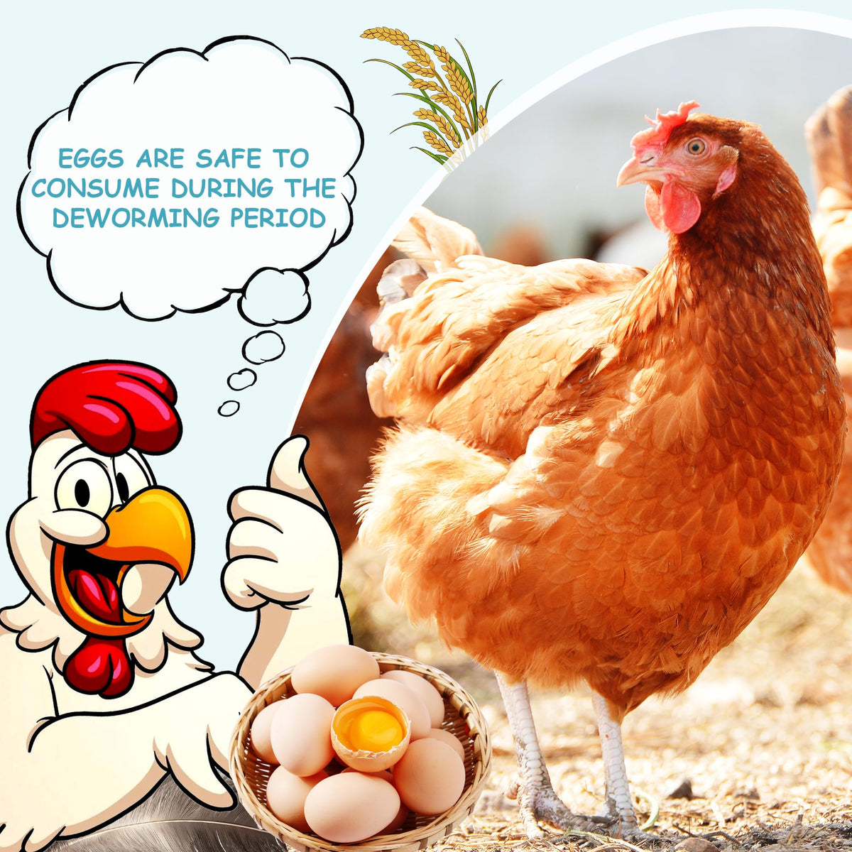 Baszy Chicken Dewormer tablets closeup suitable for precise dosing