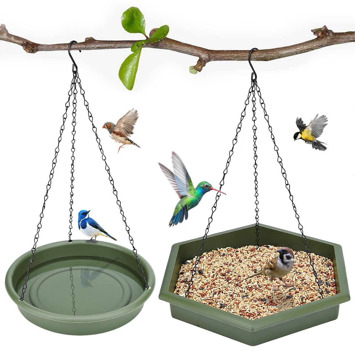 Bathth hanging bird bath outdoors, inviting songbirds with water and seeds