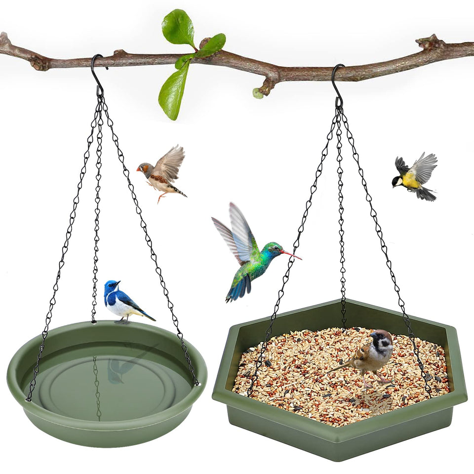 Bathth hanging bird bath outdoors, inviting songbirds with water and seeds
