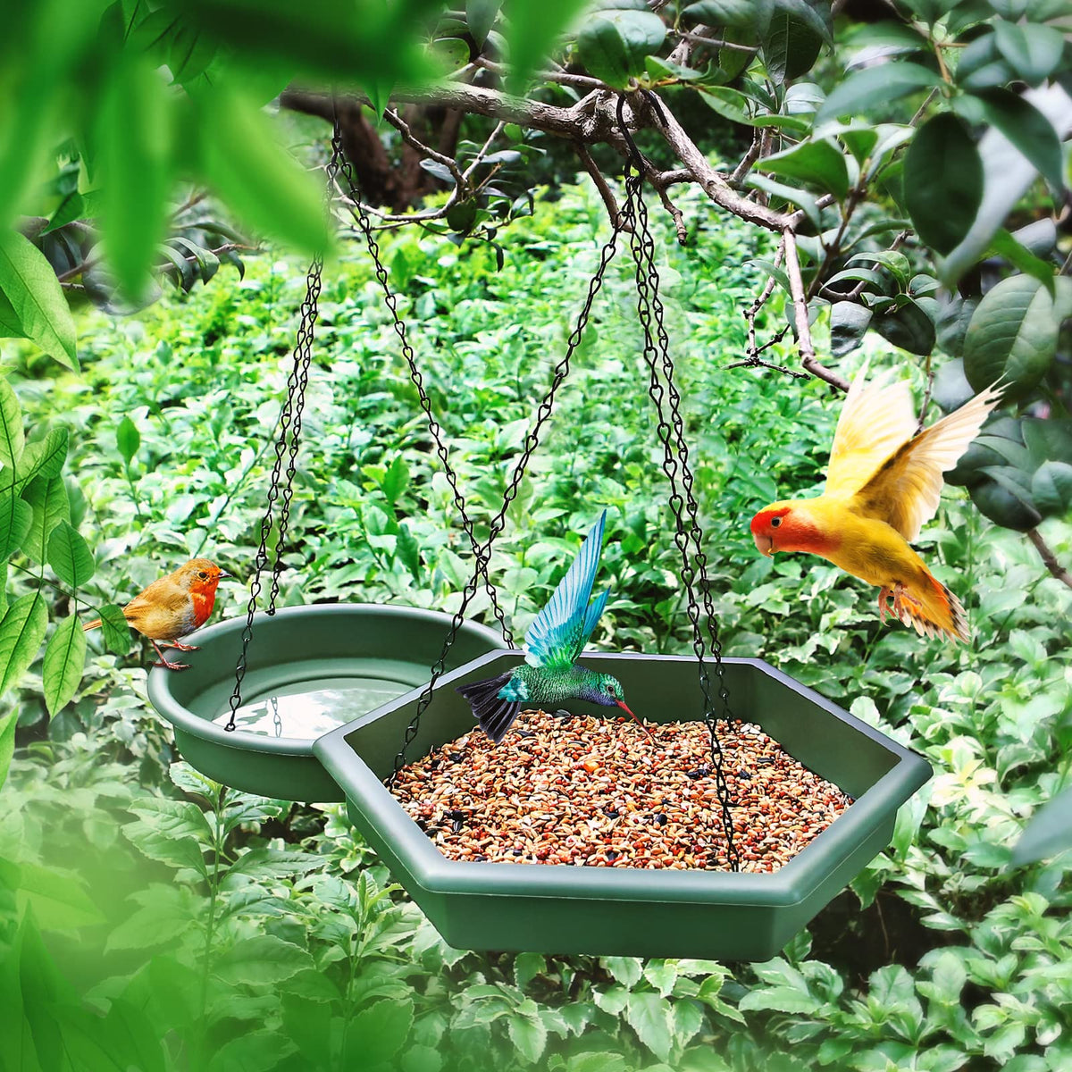 Bathth outdoor bird bath tray with roomy surface for birds to walk