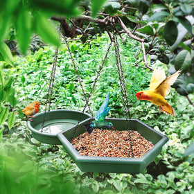 Bathth outdoor bird bath tray with roomy surface for birds to walk