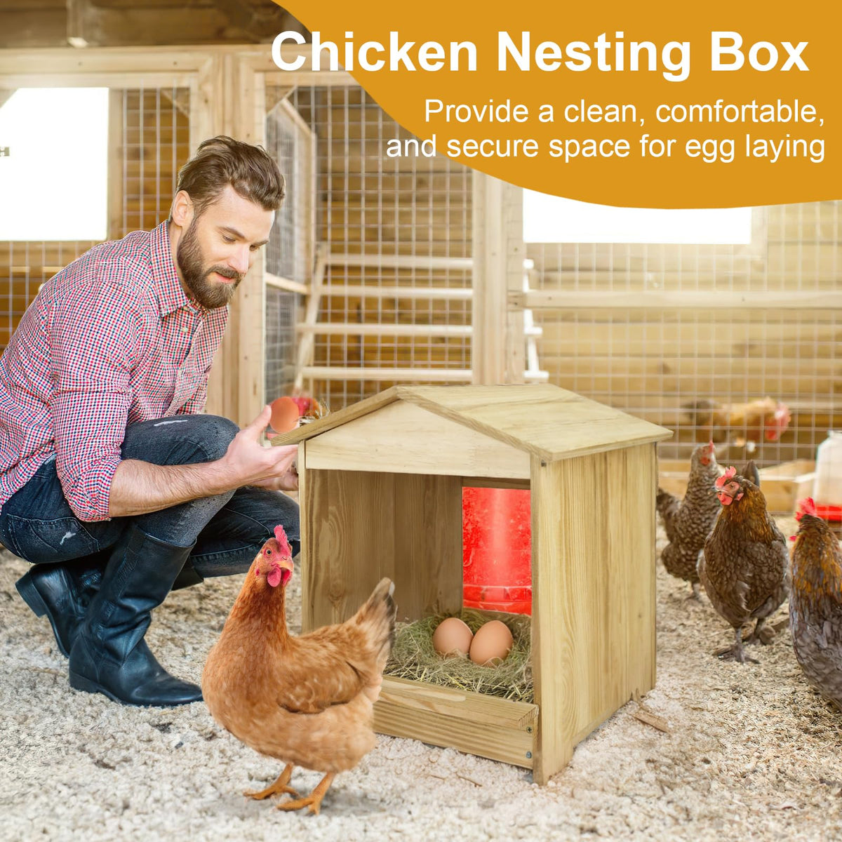 Bavlesfuire wall-mount nesting box interior includes perches and baffles
