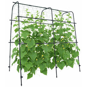 BAXAM cucumber trellis arch 5.3ft provides stable support for climbing plants.