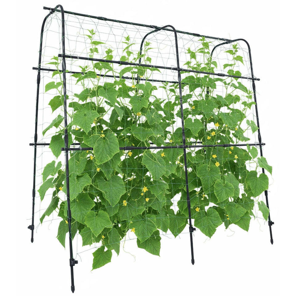 BAXAM cucumber trellis arch 5.3ft provides stable support for climbing plants.