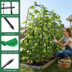 BAXAM easy-assembly trellis offers about 30 minutes for setup.