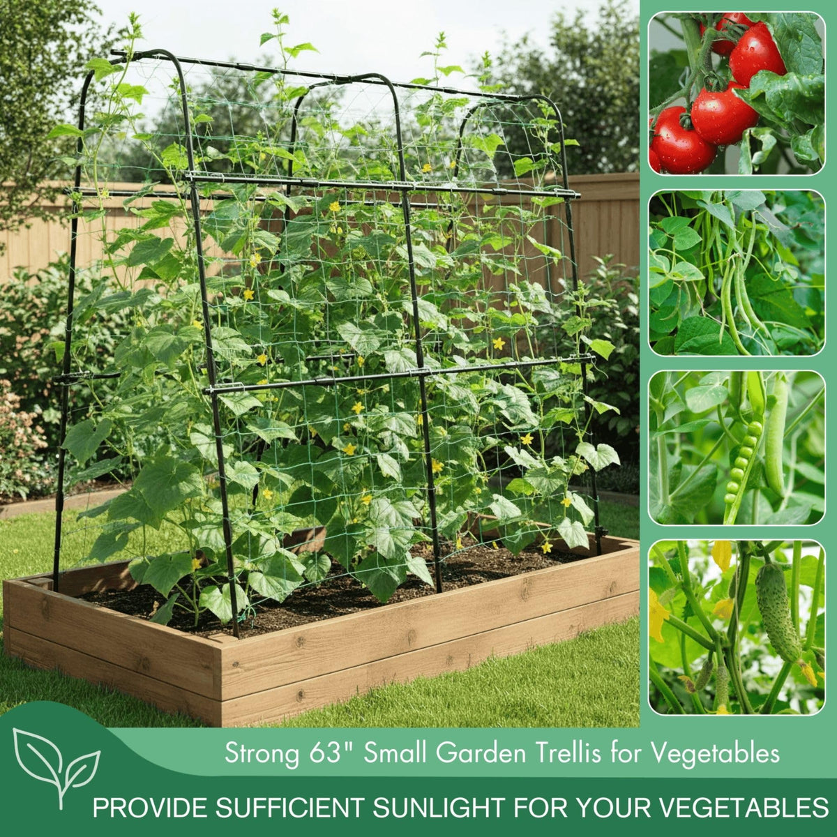 BAXAM trellis clips and cable ties enable quick, sturdy setup.