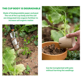 Baxrou compact garden starter kit designed for organized seed starting