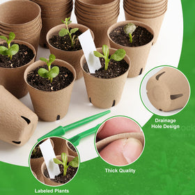 Baxrou two mini transplanting tools for careful pot-to-soil moves.