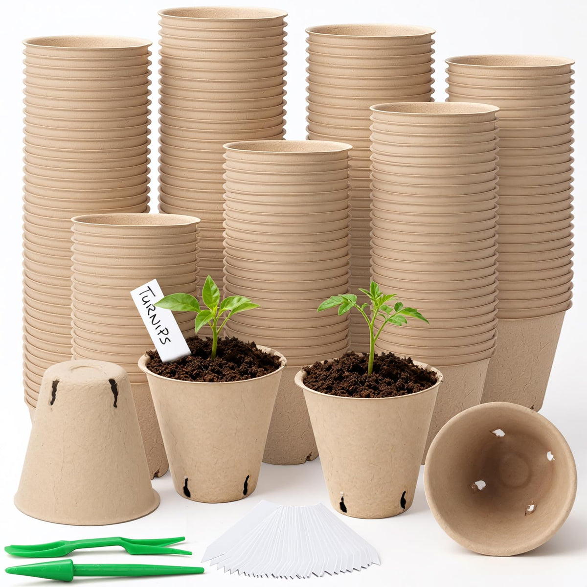 Baxrou 3.15 inch peat pots seed starter ready for germination and transplanting.