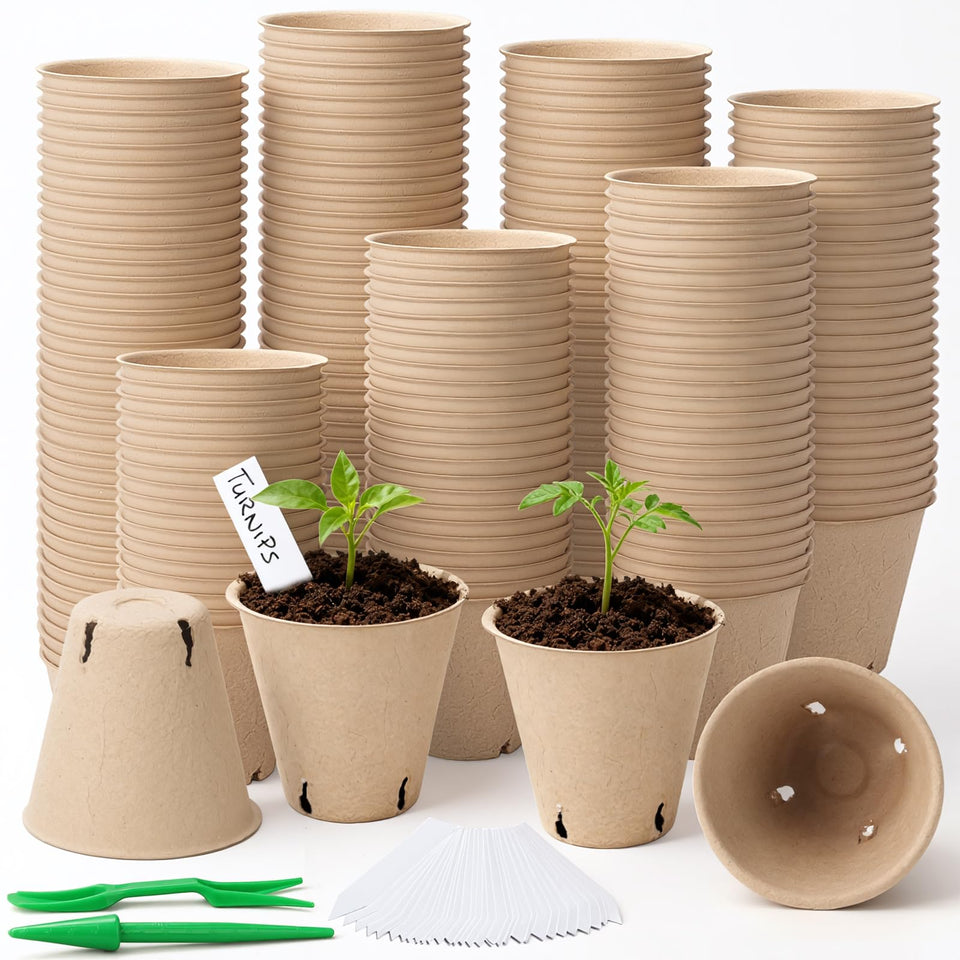 Baxrou 3.15 inch peat pots seed starter ready for germination and transplanting.
