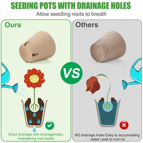 Baxrou peat pots featuring drainage holes for proper moisture balance.