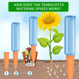 Refill bottle easily to resume automatic watering