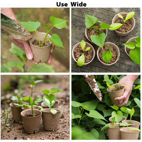 Baxrou seed starting kit suited for flowers, herbs, and vegetables.