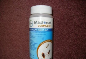 Bayer Maxforce Complete bait in kitchen corner shows targeted ant attraction for household use