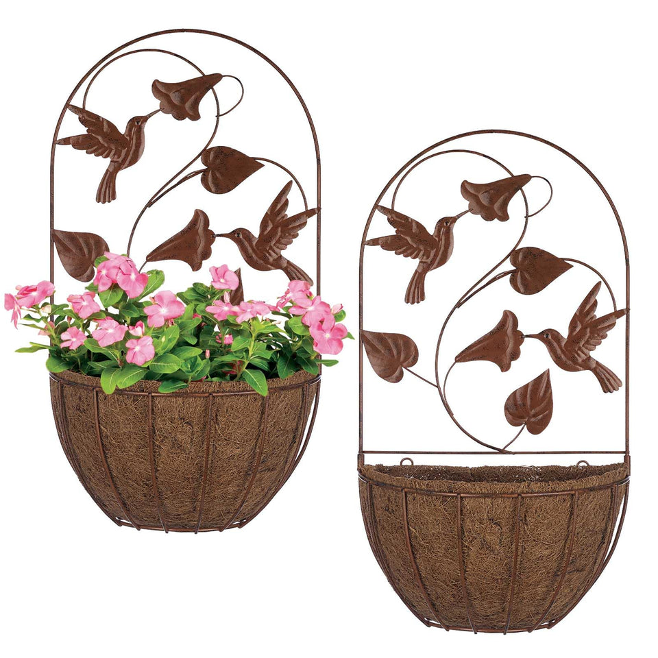 BAYN 2PKs wall planters with hummingbirds and morning glory for indoor or outdoor decor