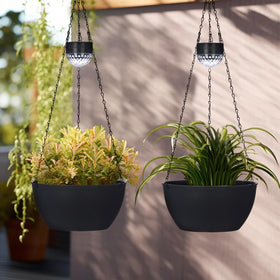 BAYN versatile planter for flowers, herbs, and trailing plants.