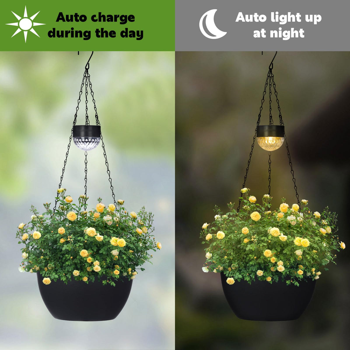 BAYN warm white LED light glows at dusk for ambiance.