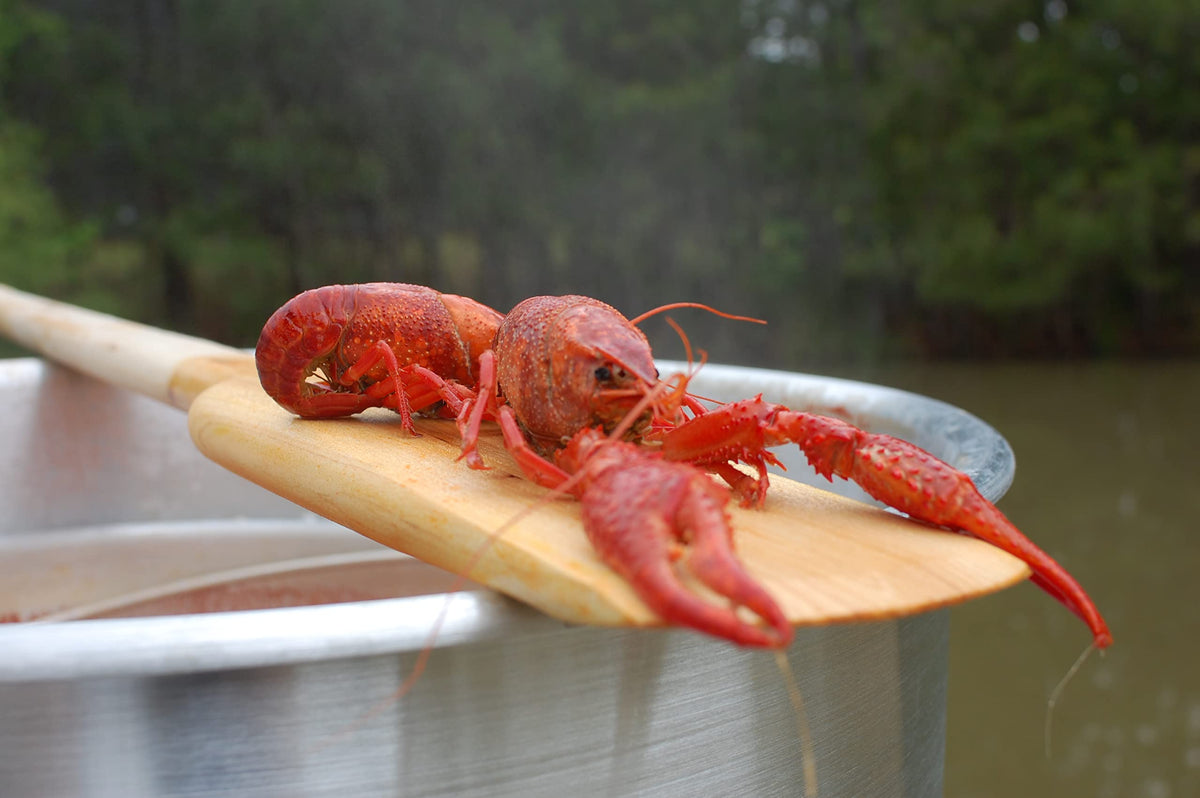 Bayou Classic 1042 crawfish boil setup showing a large batch.