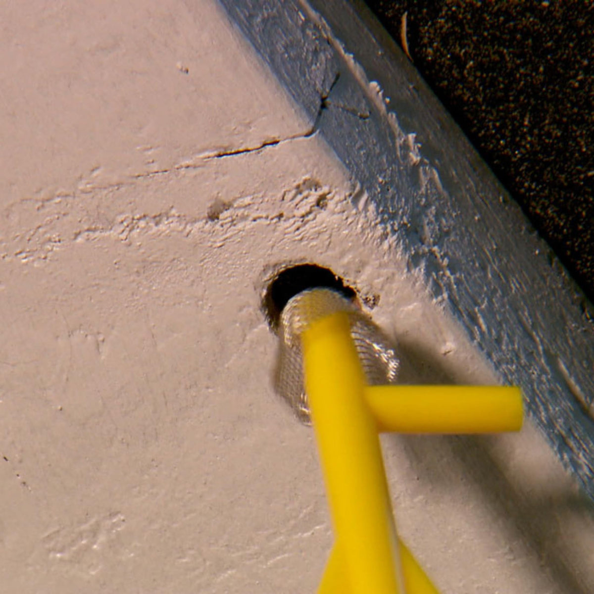BB PRO non-toxic, rust-free solution compatible with sprays and dusts