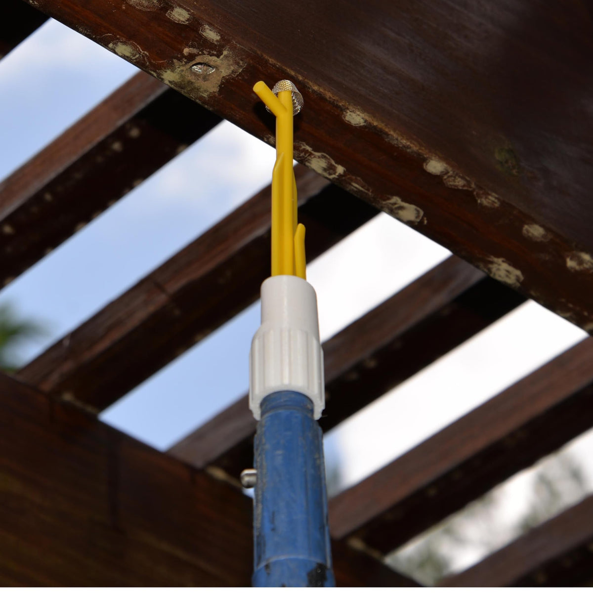 BB PRO seals holes to block re-entry and wood damage