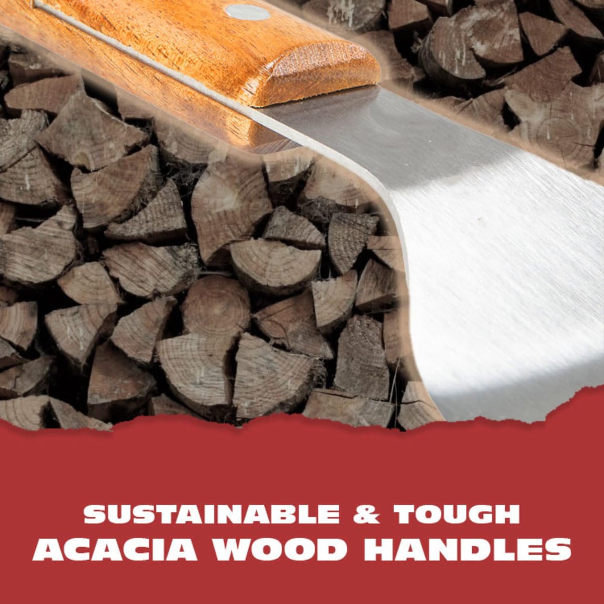 BBQ-AID Pro professional-grade tool for serious backyard barbecues.
