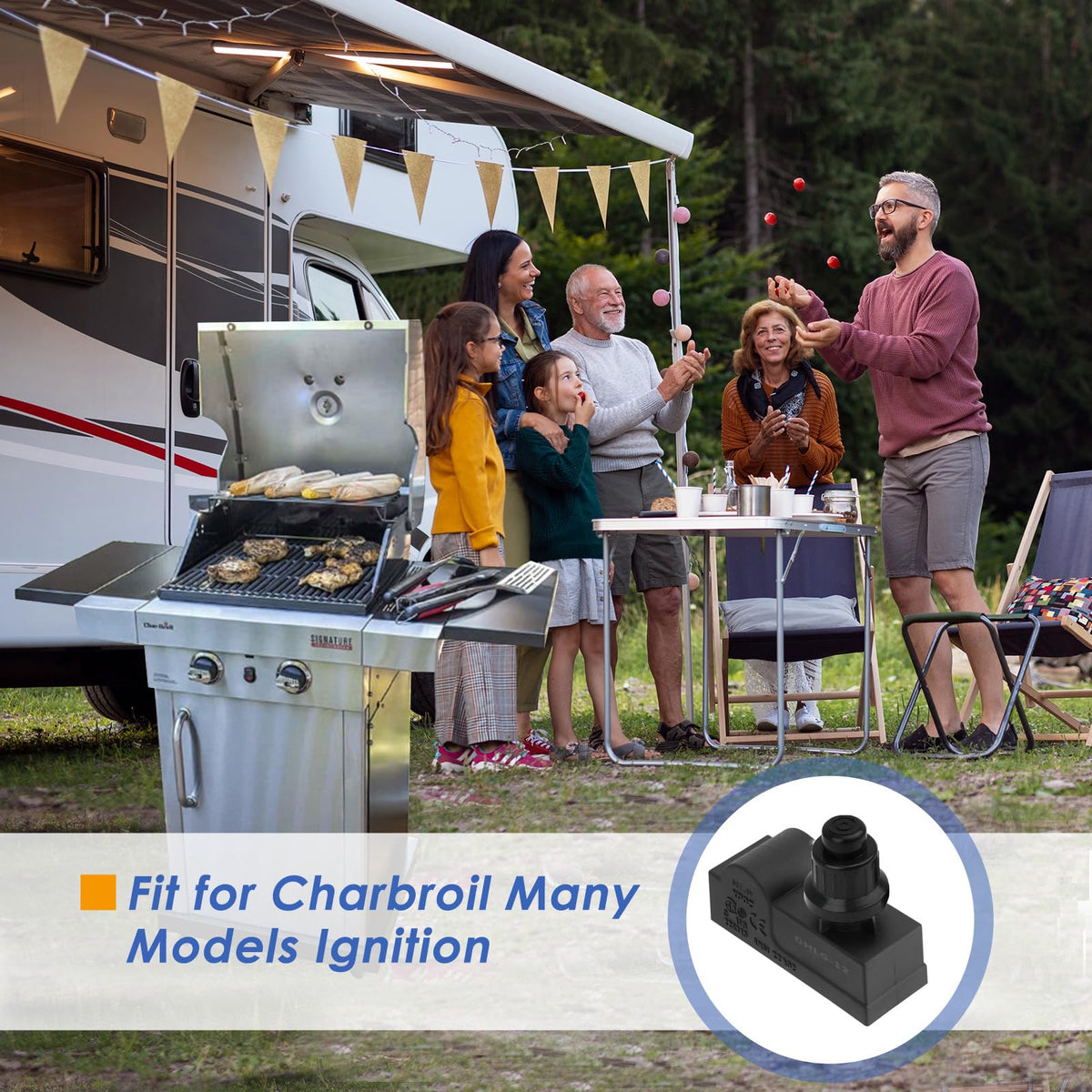 BBQration easy-install ignition module for fast setup