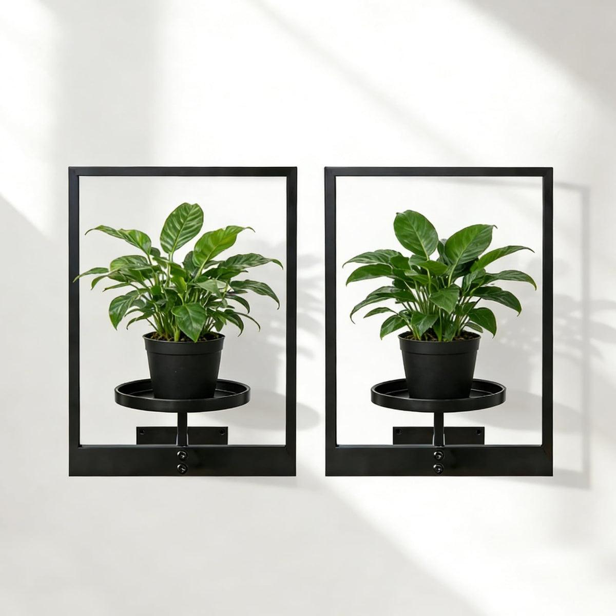 bbteroiu modern metal shelves create flexible plant display