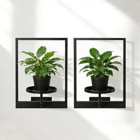 bbteroiu modern metal shelves create flexible plant display