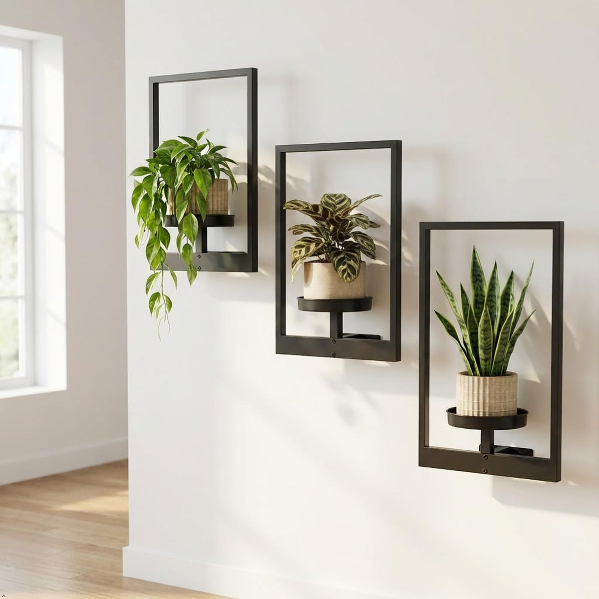bbteroiu picture frame wall planter black finish adds modern style