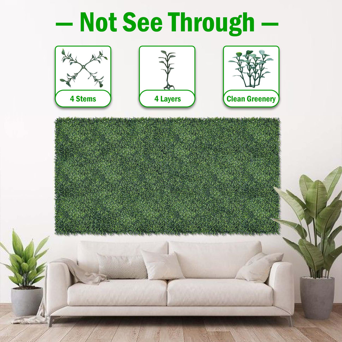BCBLF dense leaves close-up highlighting 2-inch grass height