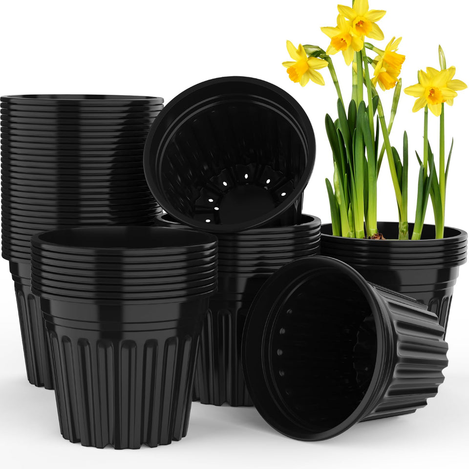 BeapTcely 50-pcs 3-gallon pot with wide opening for easy seed starting.