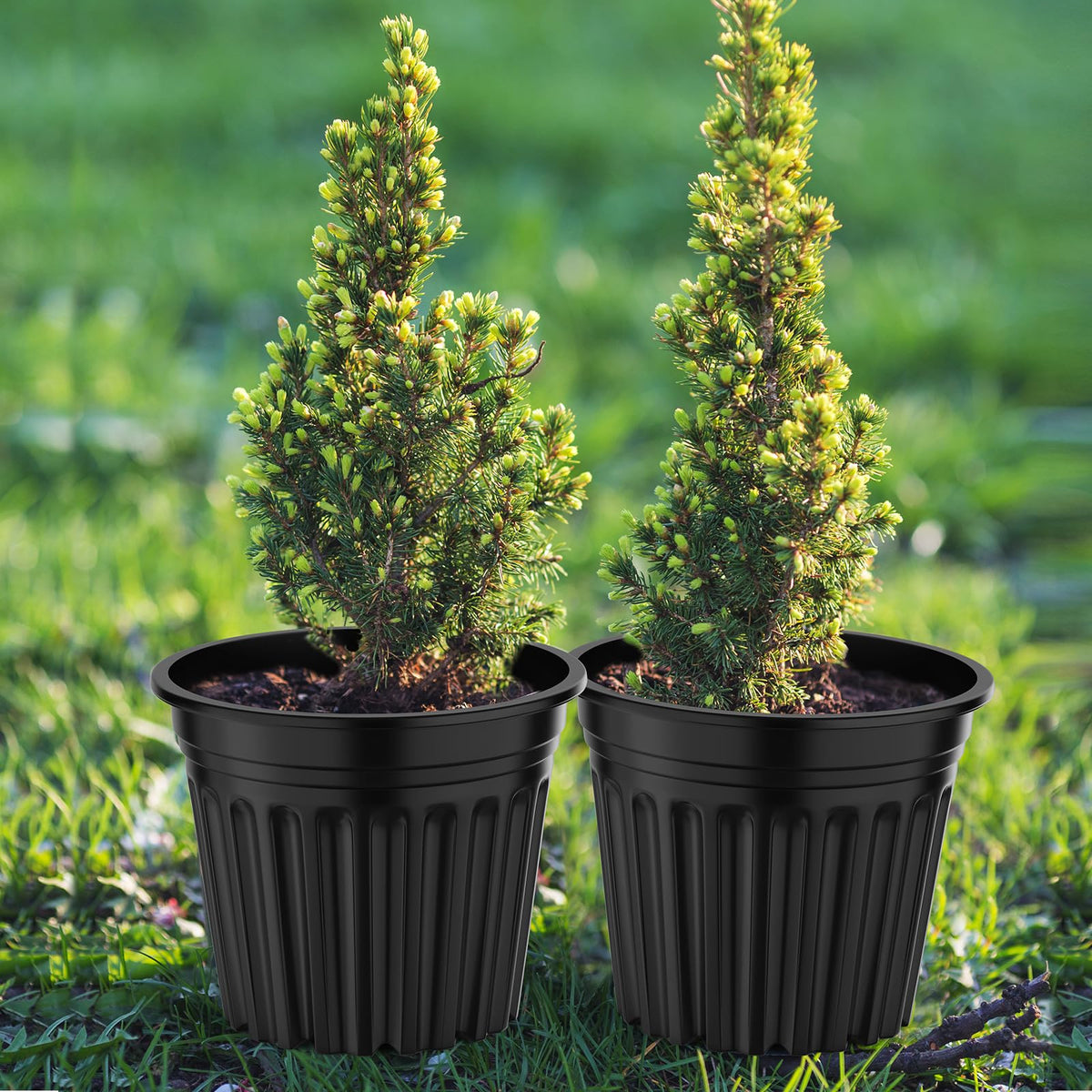 BeapTcely clear nursery pot design ideal for seed-starting and visibility.