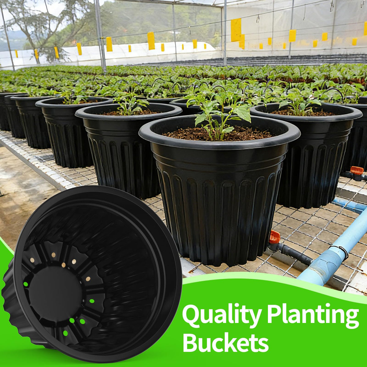 BeapTcely large-opening planter pot for easy transplanting and growth space.