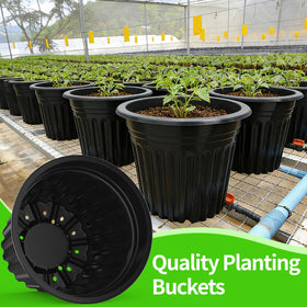 BeapTcely large-opening planter pot for easy transplanting and growth space.