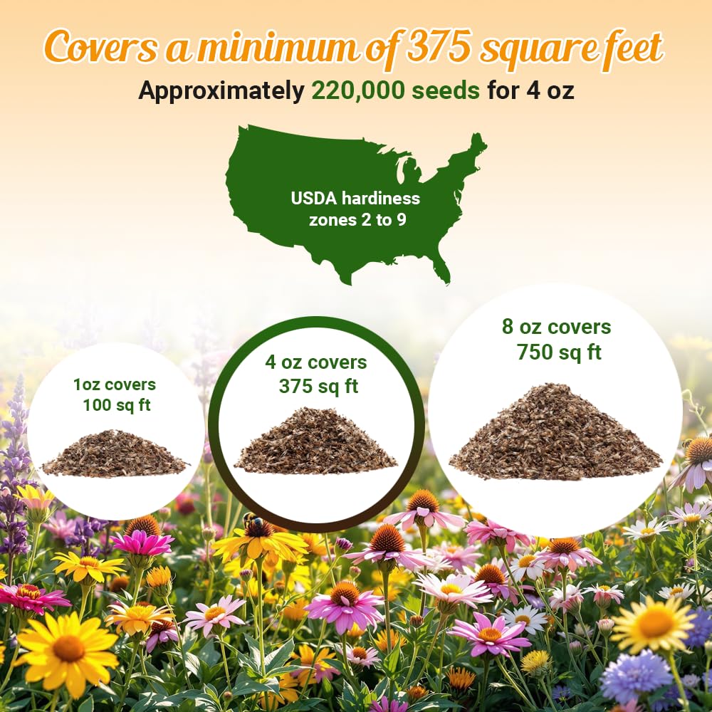 Beauty Beyond Belief 4oz seed packet yields over 375 square feet of blooms.