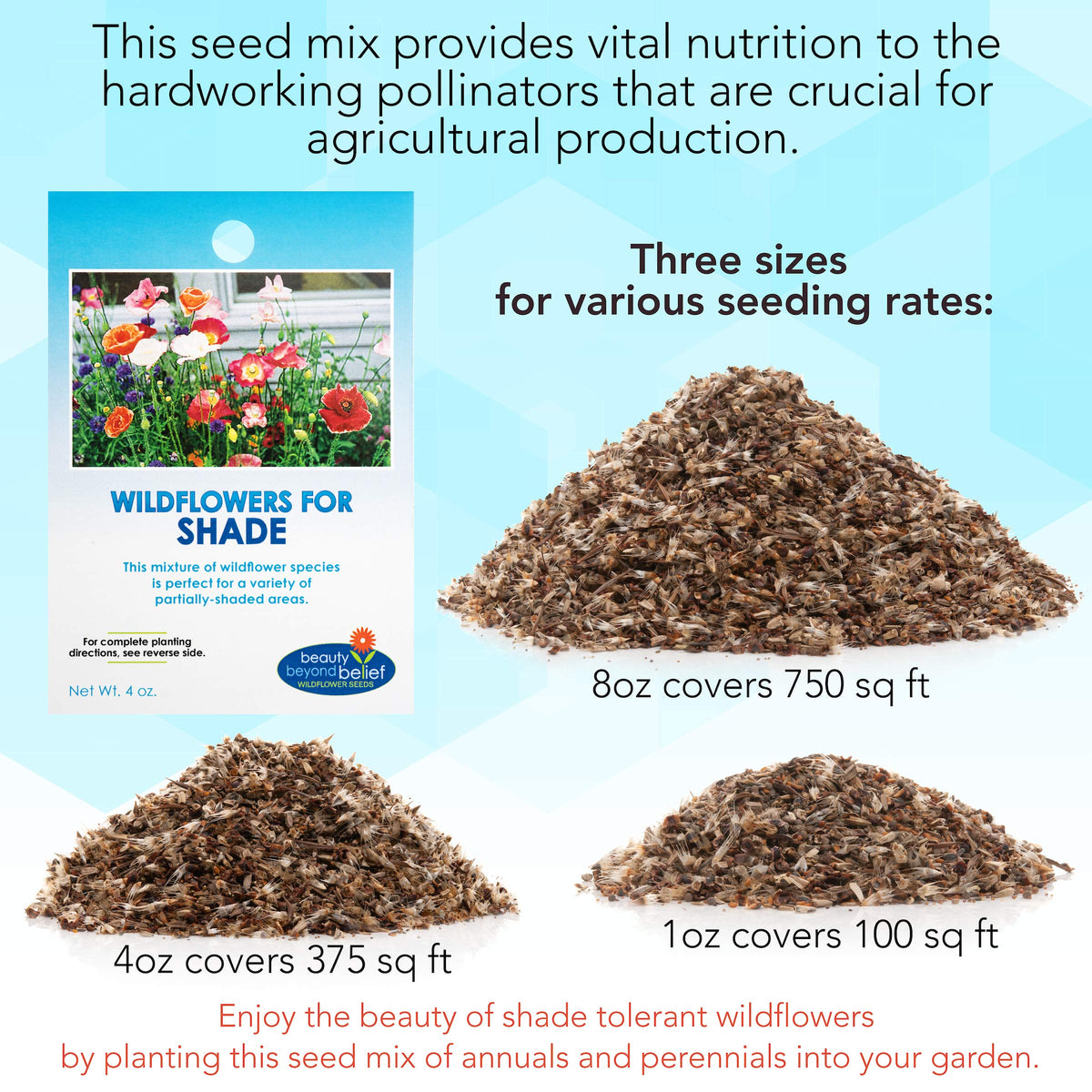 Beauty Beyond Belief BBB Seed supports year-round planting for continuous color.