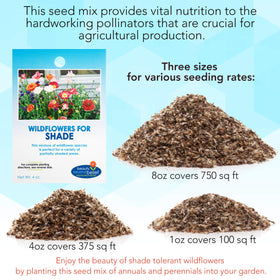 Beauty Beyond Belief BBB Seed supports year-round planting for continuous color.