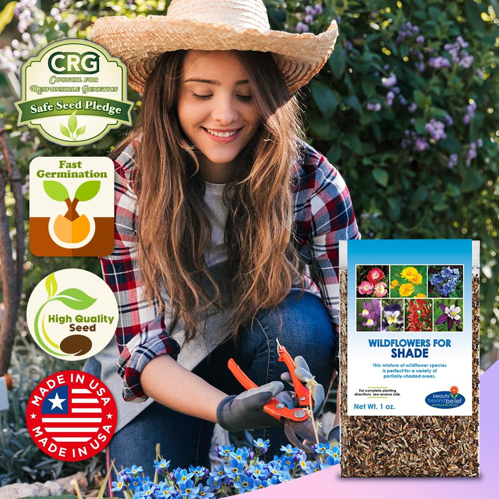 Beauty Beyond Belief BBB Seed 100 sq ft coverage per 1 oz packet