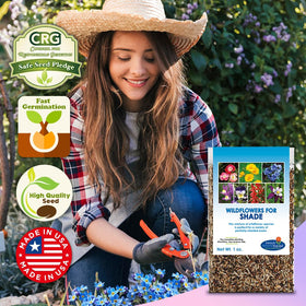 Beauty Beyond Belief BBB Seed 100 sq ft coverage per 1 oz packet