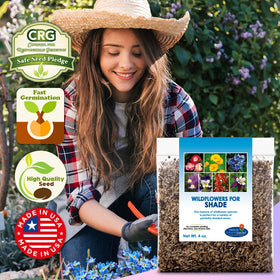 Beauty Beyond Belief BBB Seed 375 sq ft coverage supports wide margins and borders.