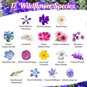 Beauty Beyond Belief BBB Seed open-pollinated seeds for reliable germination and diverse blooms.