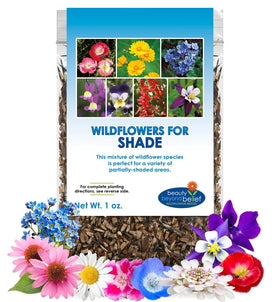 Beauty Beyond Belief BBB Seed partial shade wildflower packet blooming in shade