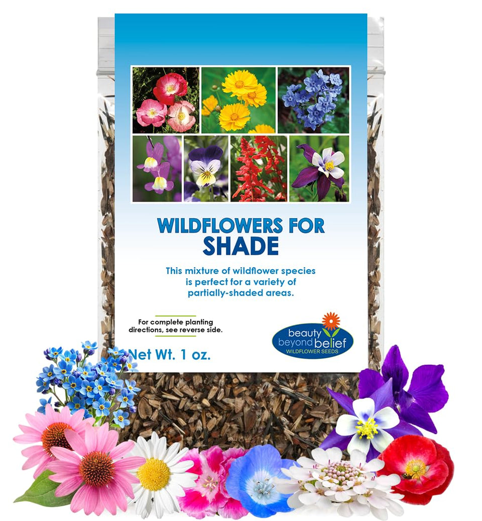 Beauty Beyond Belief BBB Seed partial shade wildflower packet blooming in shade
