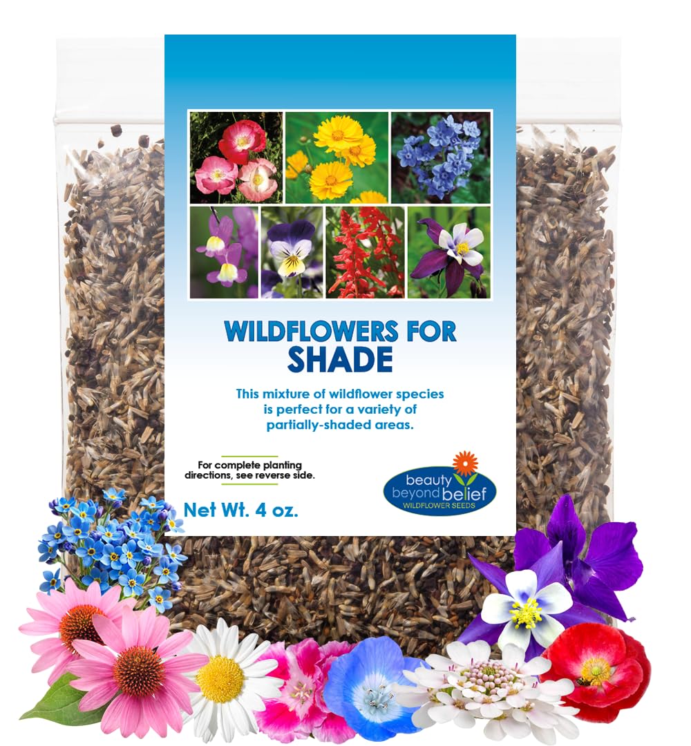 Beauty Beyond Belief BBB Seed partial shade wildflower mix brings year-round color and pollinator-friendly blooms.