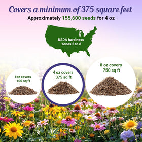 Beauty Beyond Belief BBB Seed wildflowers under trees for shaded planting areas.